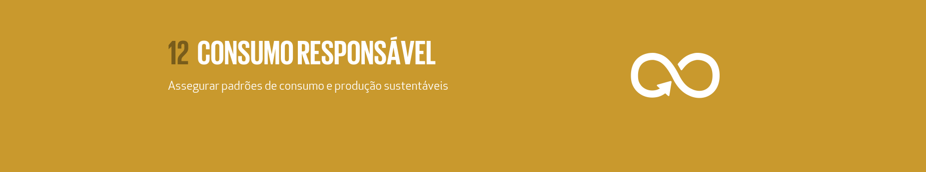 Consumo Responsável